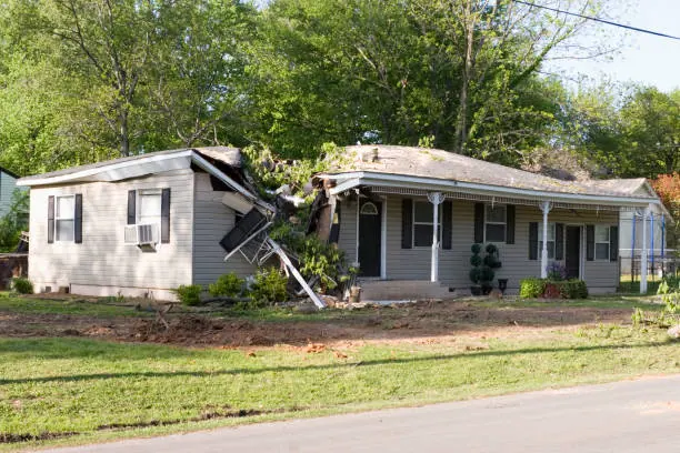 A tree that fell into the roof of a house